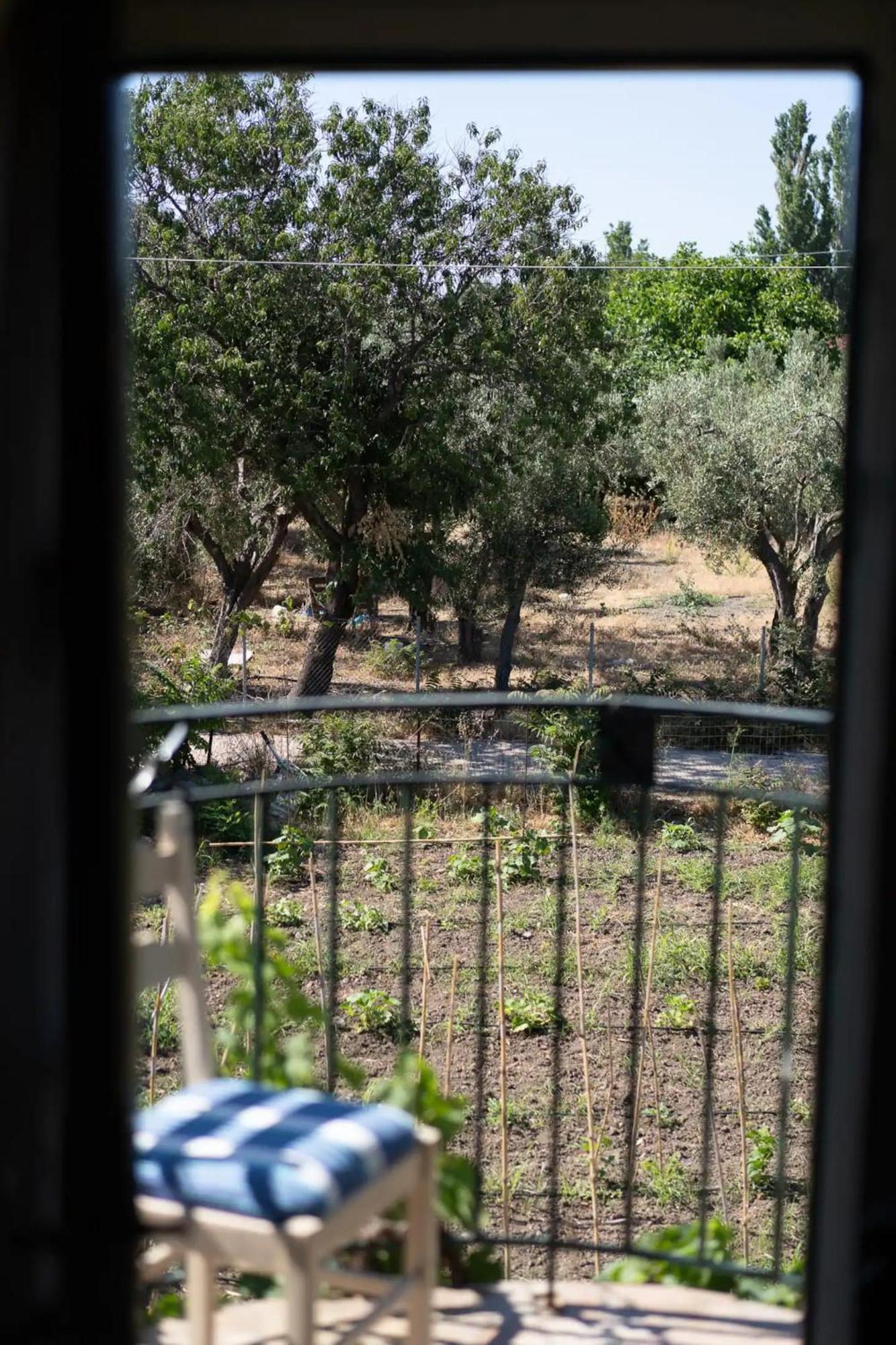 Windmill For Two Near Skala Eressos Luxury tent