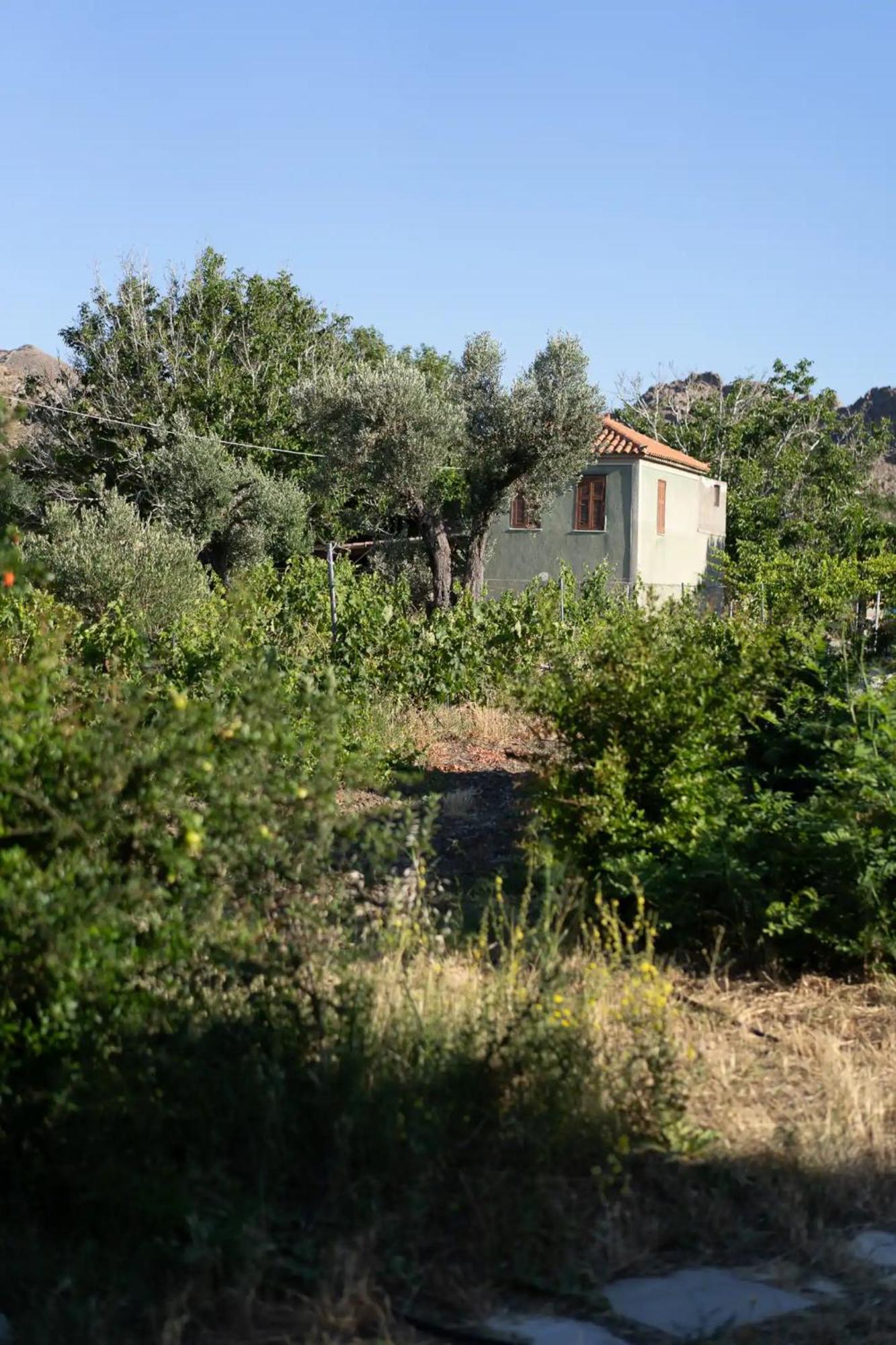 Windmill For Two Near Skala Eressos *